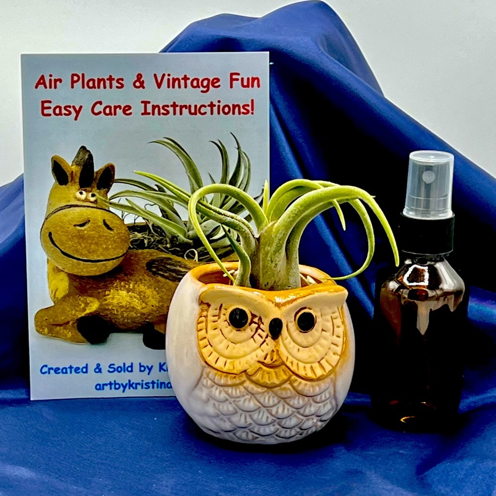 Mini OWL Planter Air Plant Set - Spanish Moss Fine Mist Sprayer FREE Air Plant